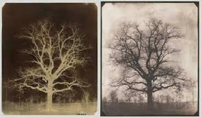 Calotype was invented