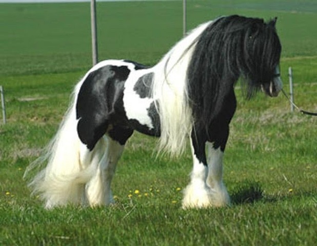 Mi primera compra con mi propio dinero