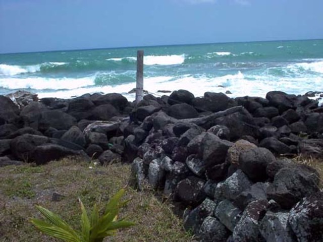 se organiza escuadrilla