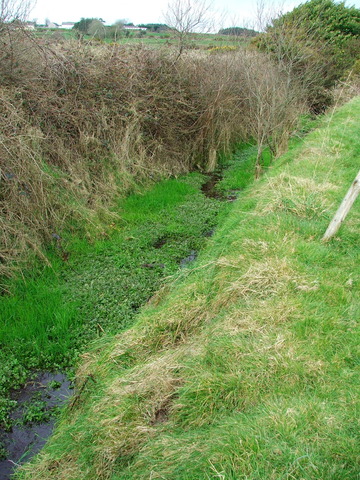 Raeda adhuc in fossā manebat, raedarius eam movere nōn poterat.