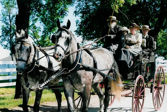 Fortasse equī cauponis raedam e fossā extrahere possunt