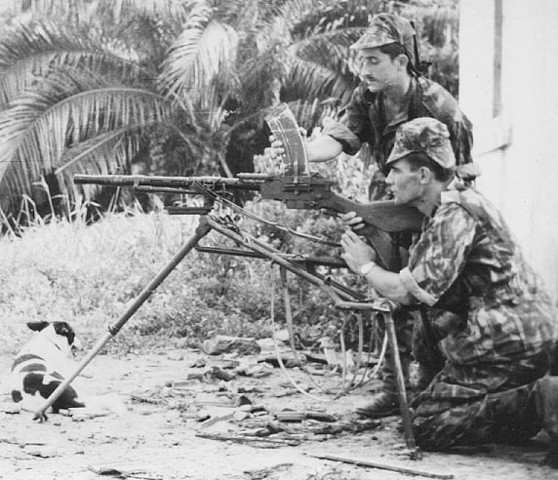 la guerra de mozanbique