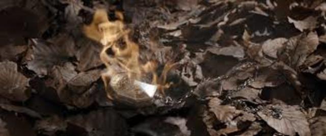 Ron returns and destroys the Horcrux in the locket