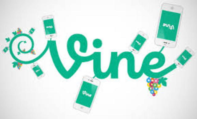 Vine
