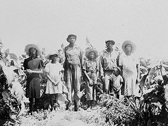 Sharecropping