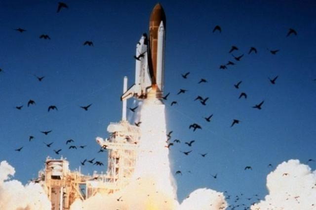 Challenger Shuttle Explosion
