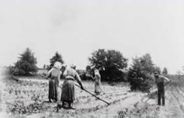 Rights for Colored Women