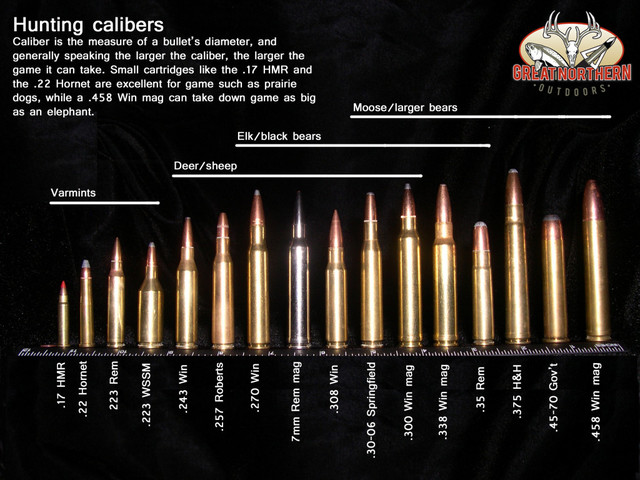 Bullet Comparison