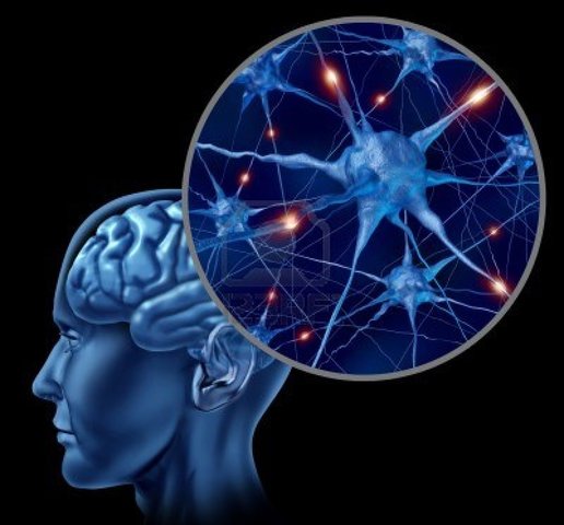 Modelo de Neurona de Cerebro Humano y Animal