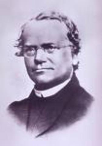 Gregor Mendel describes his experiments with pea plants