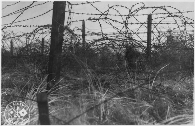 Barbed Wire