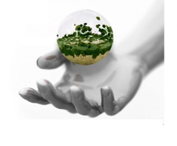 Ley Federal para Prevenir y Controlar la Contaminación Ambiental.