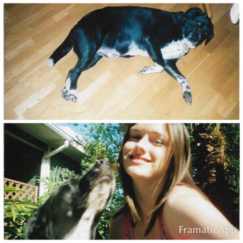 1.1: Normative Life Events- Max's Death