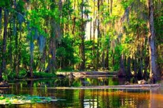 Song of The Move to Florida