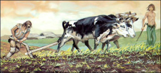 Rewolucja neolityczna - 9 tys. lat temu