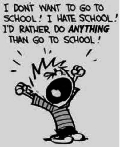 Grade 10- I Officially Hate School