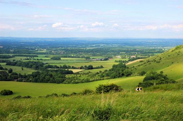 Formation of Weald (300 mya)