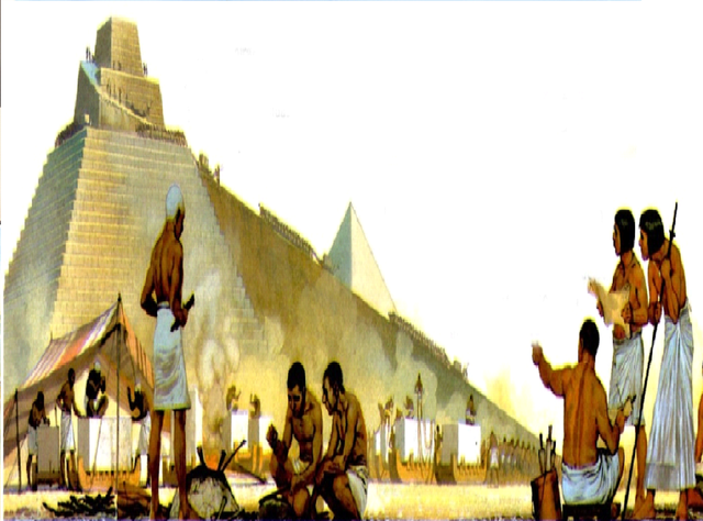 Estudio de las enfermedades