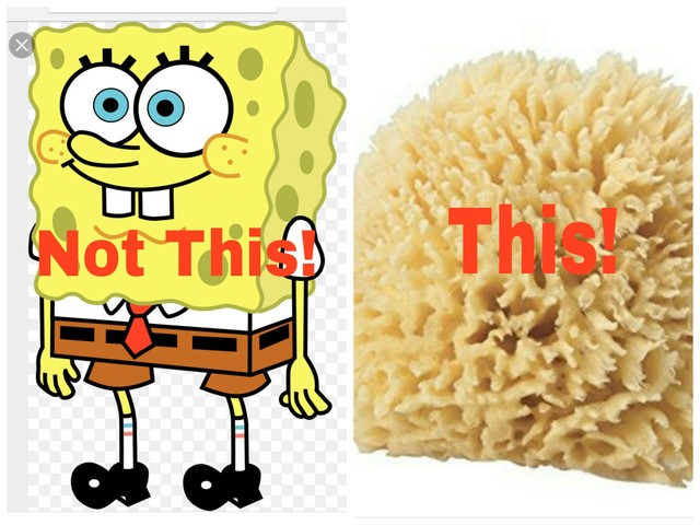 Its an Animal Baby! No Really.. It is.