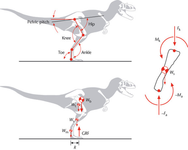 John Hutchinson and Mariano Garcia