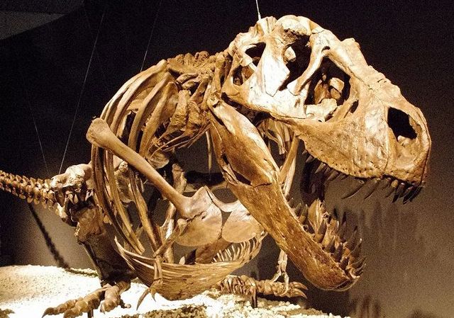 200-298 million years ago