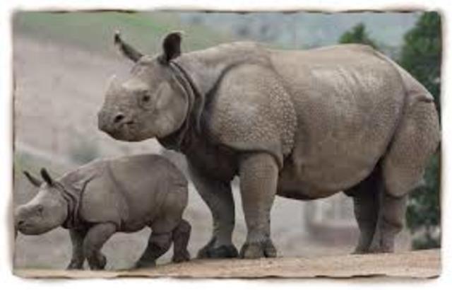 2.5 - 66 million years ago