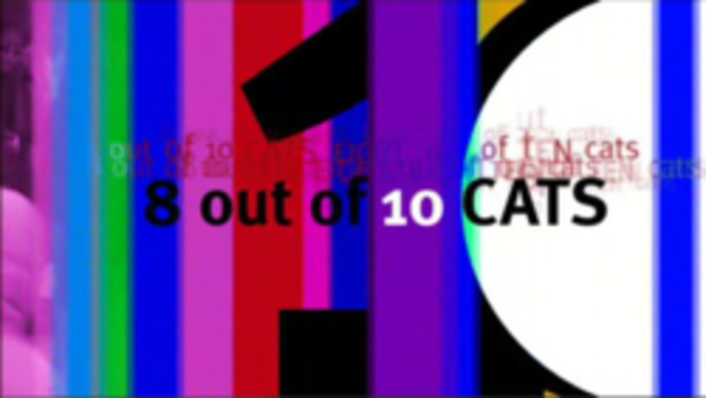 8 out of 10 cats