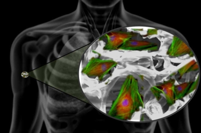 Nano-ingeniería de tejidos para medicina regenerativa