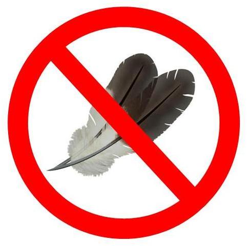 Migratory Bird Act (B)