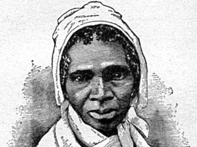 Sold For the First Time