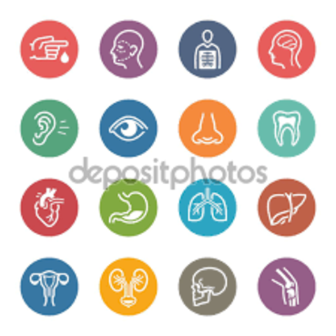 Conferencia Internacional para la Novena Revisión de la CIE.