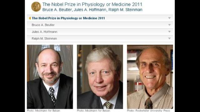 B.A. Beutler and J.A. Hoffmann y R. M. Steinman