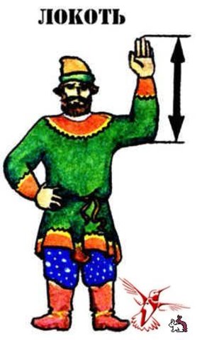Локоть