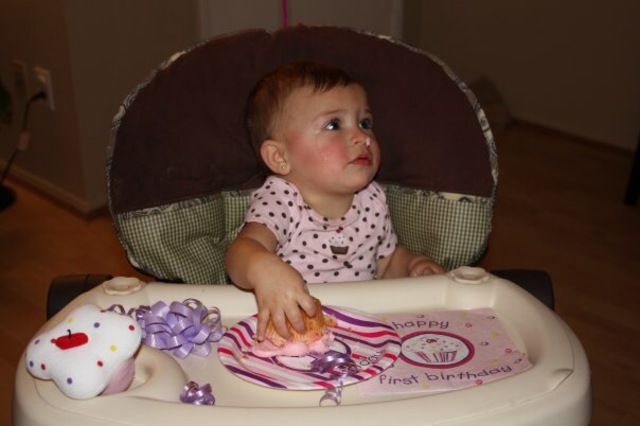 Lila's 1st Birthday