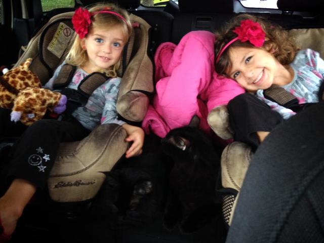 Road trip / Move from San Diego, California to Jacksonville, Florida