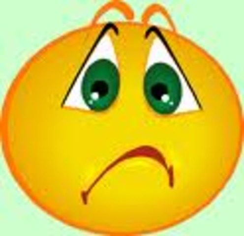 Aurelia sollicata erat.