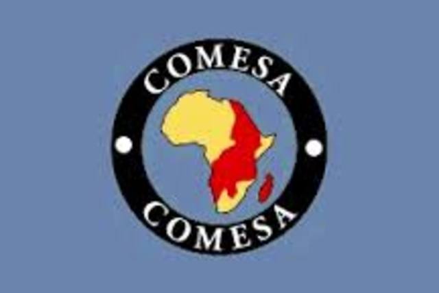 Common Market for Central and Southern Africa (COMESA)