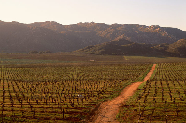 LAS TIERRAS VACANTES