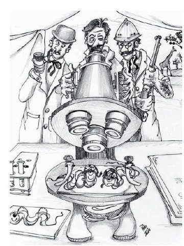 Hallazgos bacteriológicos