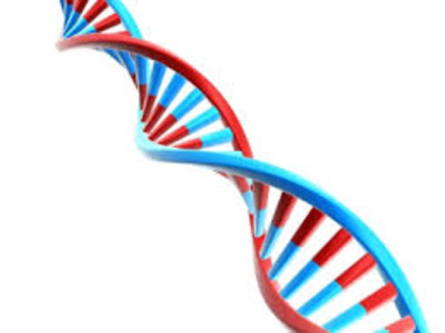 First complete synthesis of a gene