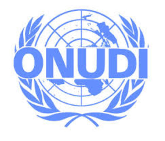 Organización de las Naciones Unidas para el Desarrollo Industrial