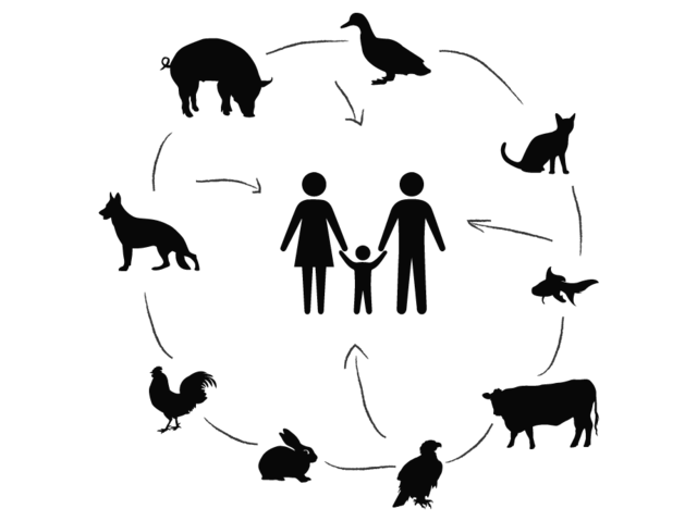 Definición de Zoonosis