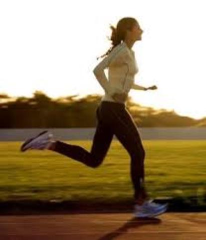 Ha evolucionado paralelamente