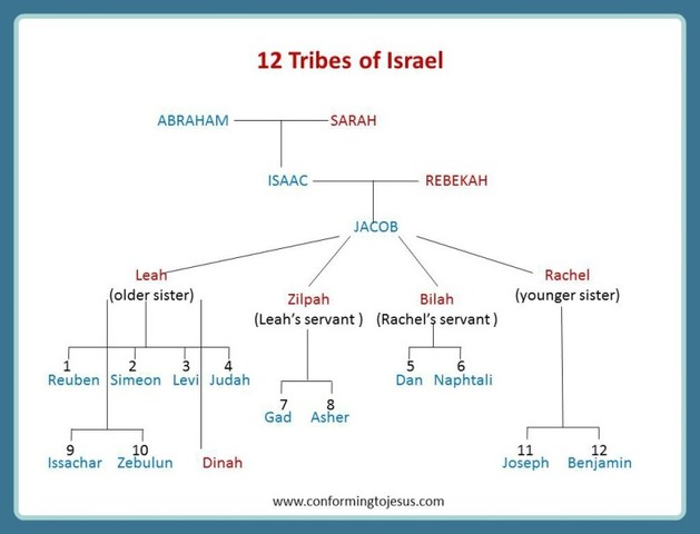 Jacob's Sons (The 12 Tribes of Israel) & Dinah are born