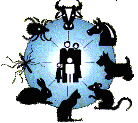 Principales enfermedades zoonoticas