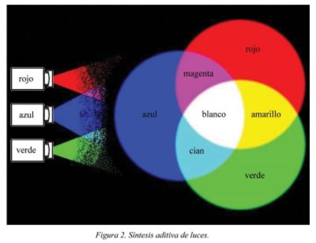 Relación de la visión con fibras nerviosas
