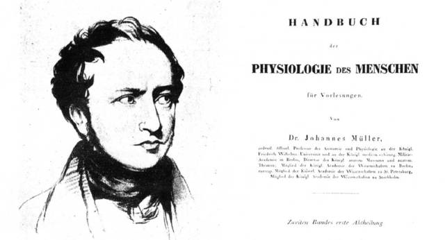 Publicacion de Peter Muller