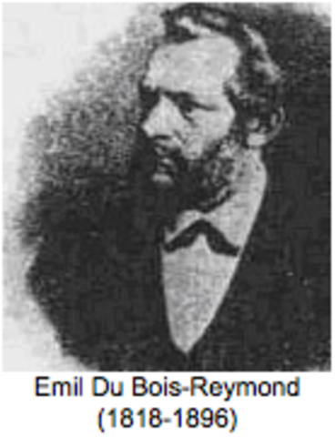 Funciones neuromusculares Du Bois- Reymond