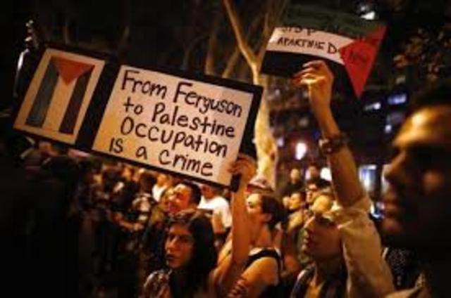 La reacción académica y social en Norteamérica