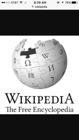 The Launch of Wikipedia
